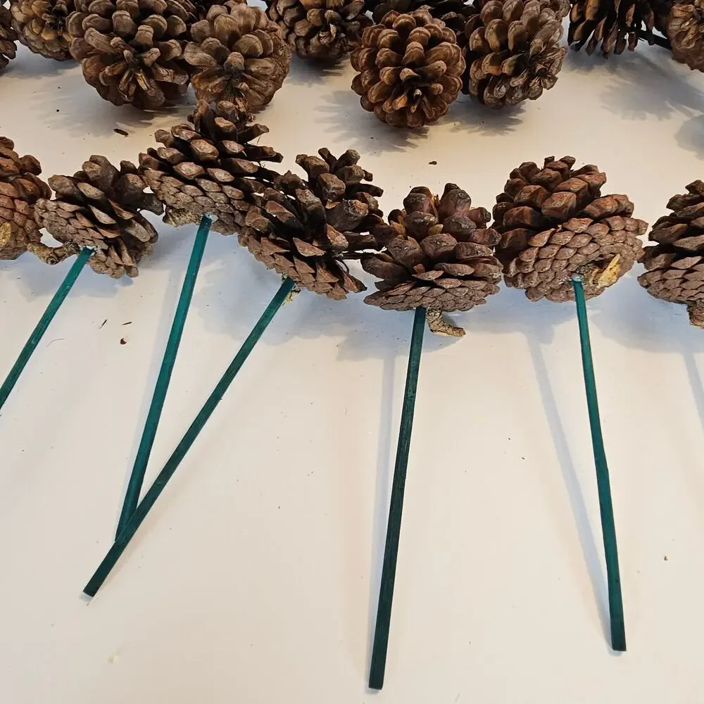 30 Natural Pine Cone Floral Picks 7in Green Wood Stems Wreath Craft Rustic Decor